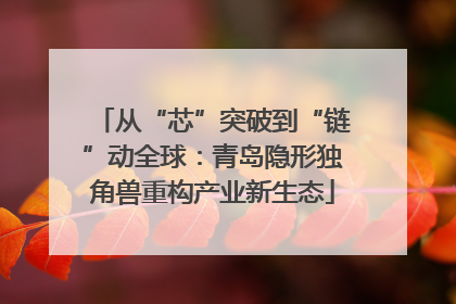 从“芯”突破到“链”动全球：青岛隐形独角兽重构产业新生态
