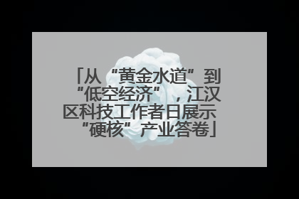 从“黄金水道”到“低空经济”，江汉区科技工作者日展示“硬核”产业答卷