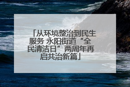 从环境整治到民生服务 永阳街道“全民清洁日”两周年再启共治新篇