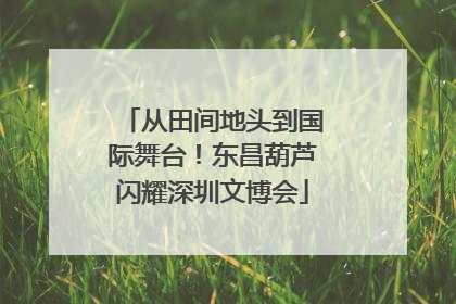 从田间地头到国际舞台！东昌葫芦闪耀深圳文博会