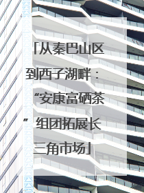 从秦巴山区到西子湖畔：“安康富硒茶”组团拓展长三角市场