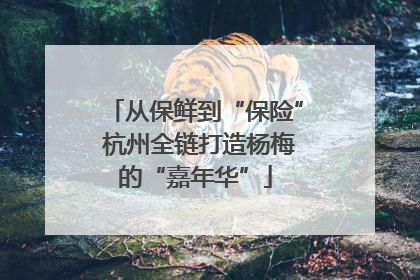 从保鲜到“保险” 杭州全链打造杨梅的“嘉年华”