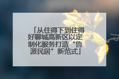 从住得下到住得好聊城高新区以定制化服务打造“鲁派民居”新范式