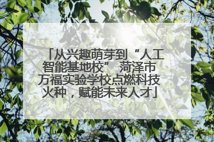从兴趣萌芽到“人工智能基地校” 菏泽市万福实验学校点燃科技火种，赋能未来人才