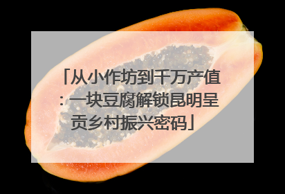 从小作坊到千万产值：一块豆腐解锁昆明呈贡乡村振兴密码