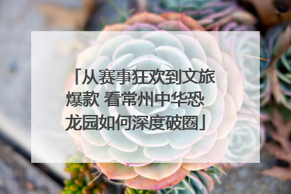 从赛事狂欢到文旅爆款 看常州中华恐龙园如何深度破圈