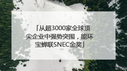 从超3000家全球顶尖企业中强势突围，能环宝蝉联SNEC金奖