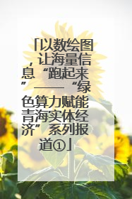 以数绘图，让海量信息“跑起来”——“绿色算力赋能青海实体经济”系列报道①