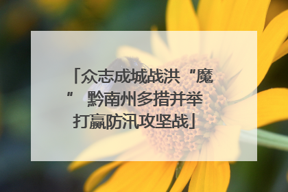 众志成城战洪“魔” 黔南州多措并举打赢防汛攻坚战