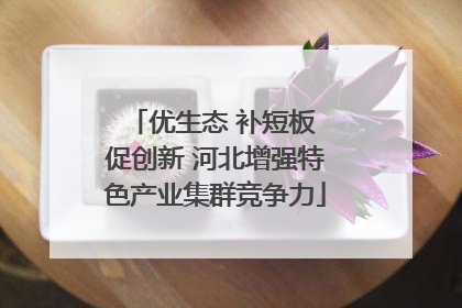 优生态 补短板 促创新 河北增强特色产业集群竞争力