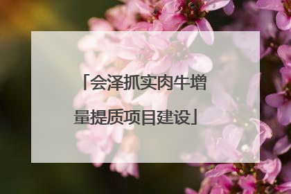 会泽抓实肉牛增量提质项目建设