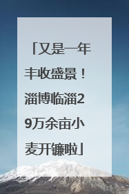 又是一年丰收盛景！淄博临淄29万余亩小麦开镰啦