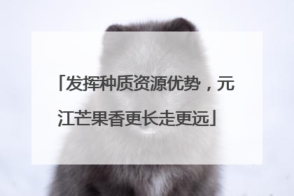 发挥种质资源优势，元江芒果香更长走更远