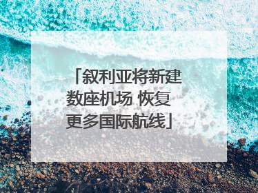 叙利亚将新建数座机场 恢复更多国际航线
