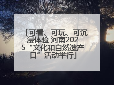 可看、可玩、可沉浸体验 河南2025“文化和自然遗产日”活动举行