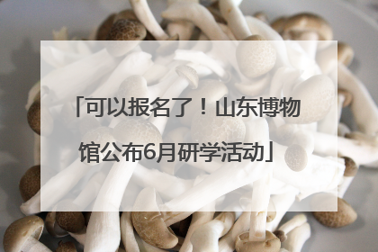 可以报名了！山东博物馆公布6月研学活动
