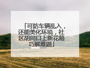 可防车辆乱入，还能美化环境，社区胡同口上新花箱巧解难题