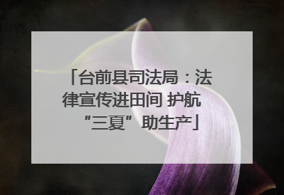 台前县司法局：法律宣传进田间 护航“三夏”助生产