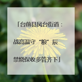 台前县凤台街道：战高温守“粮”辰 禁烧保收多管齐下