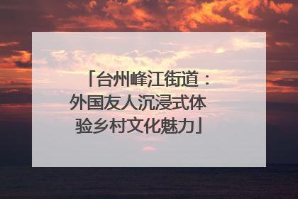 台州峰江街道：外国友人沉浸式体验乡村文化魅力