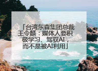 台湾东森集团总裁王令麟：媒体人要积极学习、驾驭AI，而不是被AI利用