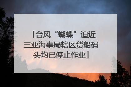 台风“蝴蝶”迫近 三亚海事局辖区货船码头均已停止作业