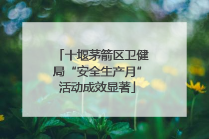 十堰茅箭区卫健局“安全生产月”活动成效显著