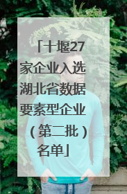 十堰27家企业入选湖北省数据要素型企业（第二批）名单