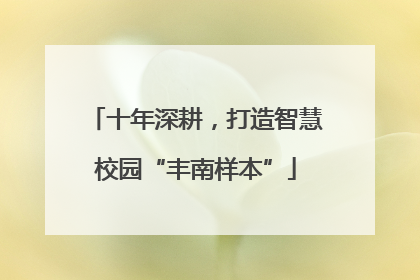 十年深耕，打造智慧校园“丰南样本”