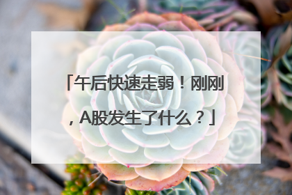 午后快速走弱！刚刚，A股发生了什么？