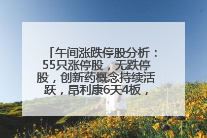 午间涨跌停股分析：55只涨停股，无跌停股，创新药概念持续活跃，昂利康6天4板，众生药业2连板