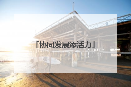 协同发展添活力