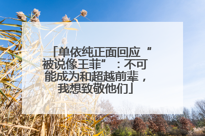 单依纯正面回应“被说像王菲”：不可能成为和超越前辈，我想致敬他们