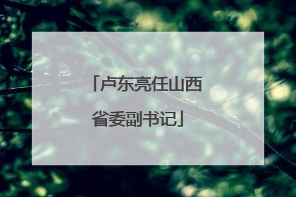 卢东亮任山西省委副书记