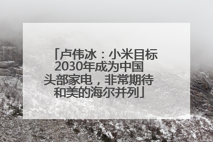 卢伟冰：小米目标2030年成为中国头部家电，非常期待和美的海尔并列