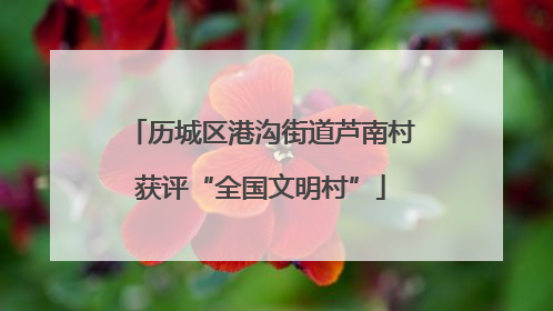 历城区港沟街道芦南村获评“全国文明村”