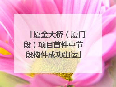 厦金大桥（厦门段）项目首件中节段构件成功出运