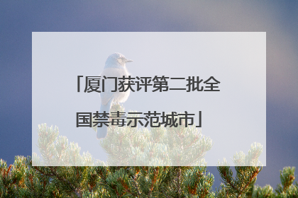 厦门获评第二批全国禁毒示范城市