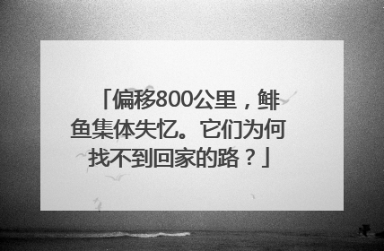 偏移800公里，鲱鱼集体失忆。它们为何找不到回家的路？