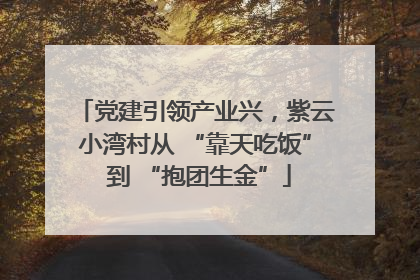 党建引领产业兴，紫云小湾村从 “靠天吃饭” 到 “抱团生金”