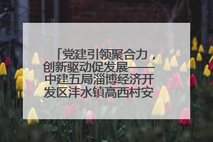 党建引领聚合力，创新驱动促发展——中建五局淄博经济开发区沣水镇高西村安置项目建设纪实