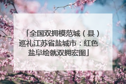 全国双拥模范城（县）巡礼江苏省盐城市：红色盐阜绘就双拥宏图