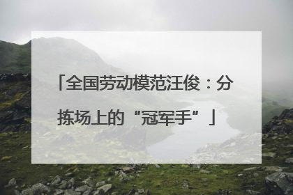 全国劳动模范汪俊：分拣场上的“冠军手”