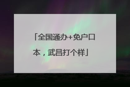 全国通办+免户口本，武昌打个样