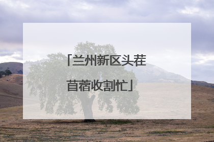 兰州新区头茬苜蓿收割忙
