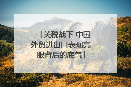关税战下 中国外贸进出口表现亮眼背后的底气