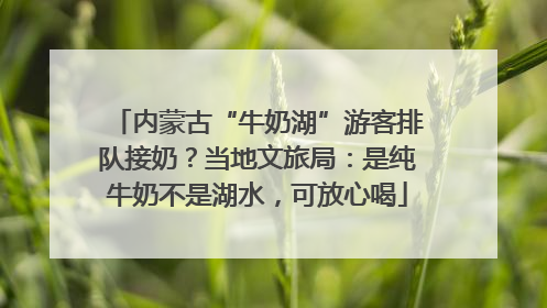 内蒙古“牛奶湖”游客排队接奶？当地文旅局：是纯牛奶不是湖水，可放心喝