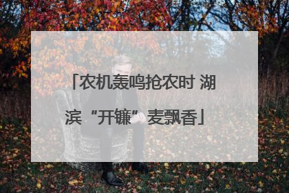 农机轰鸣抢农时 湖滨“开镰”麦飘香