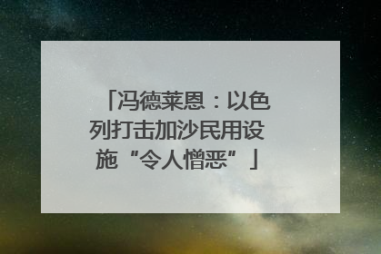 冯德莱恩：以色列打击加沙民用设施“令人憎恶”