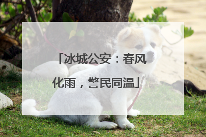 冰城公安：春风化雨，警民同温